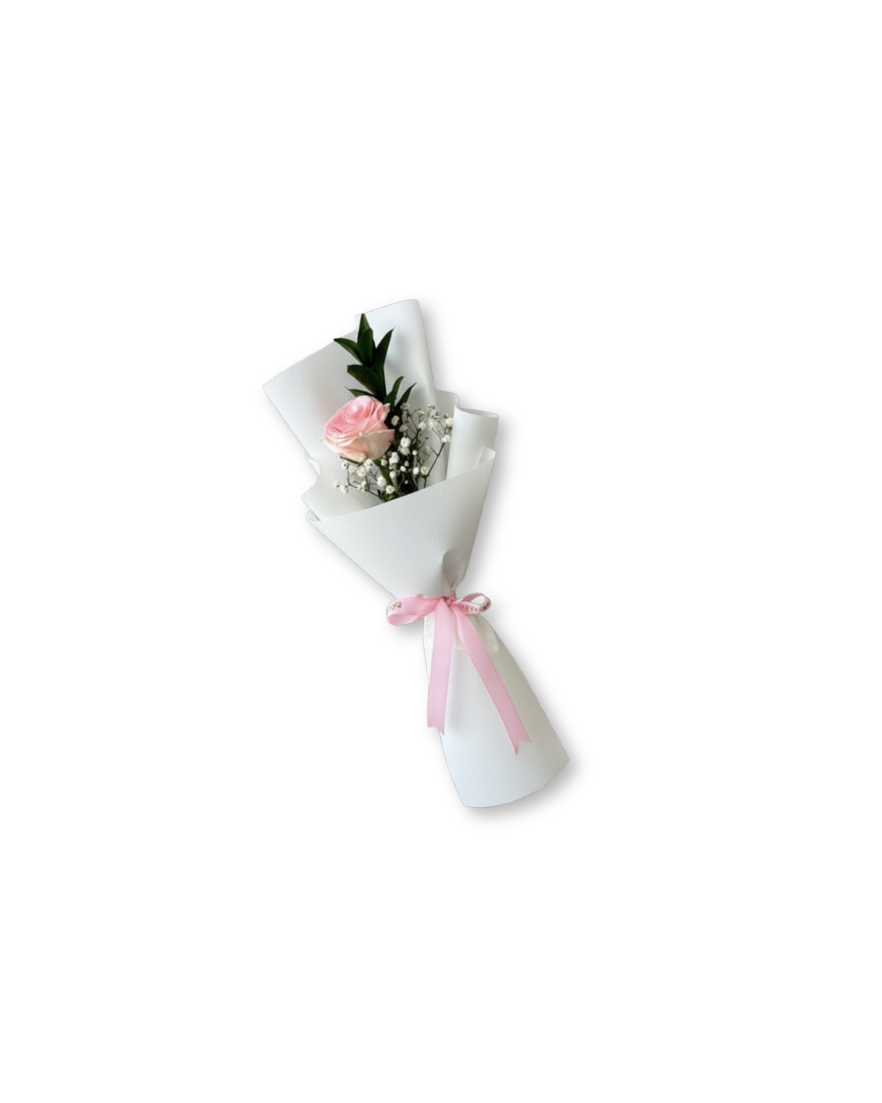 Blush Mini Rose Gift